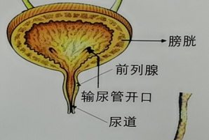 雅安结石病治疗8