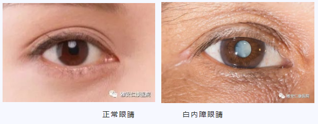 微信截图_20221025090200